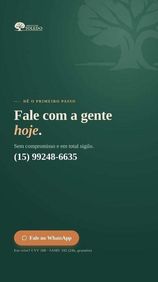 Mídia social produzida pela Órbita Web — Instituto Toledo